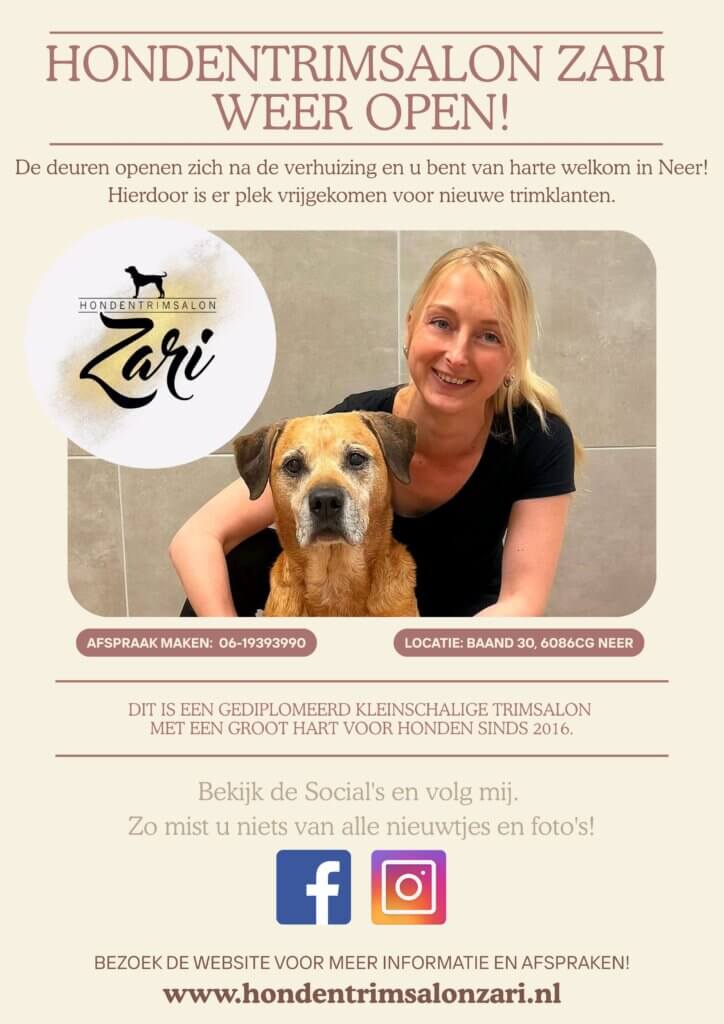 Poster opening salon neer